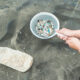 Inquinamento da microplastiche