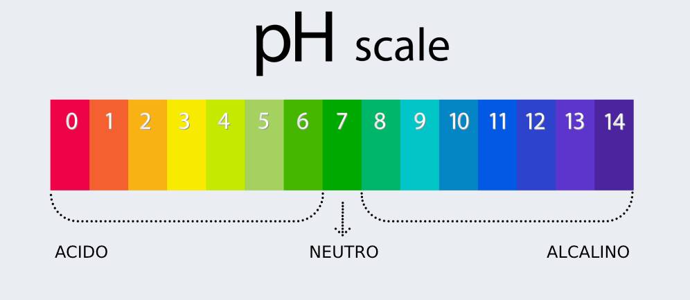 I valori del PH
